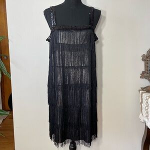 1920's FLAPPER DRESS COSTUME